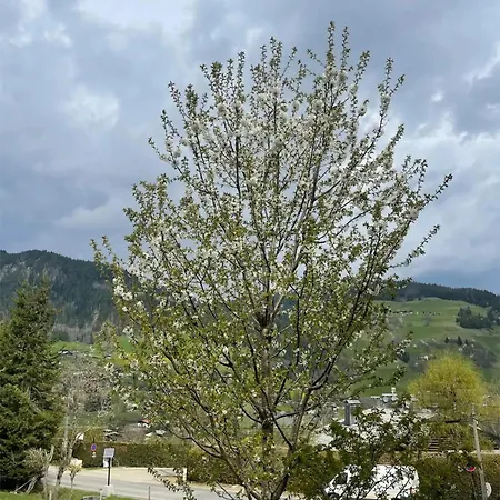 La De L'ours * Megeve
